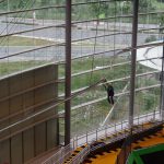 District21 Adventure park @ IOI City Mall