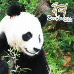 Zoo Negara Malaysia
