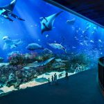 Aquaria KLCC